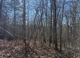 Beautiful 5.00+/-acre wooded tract atop South Pittsburg Mountain.