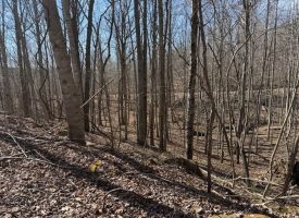 Beautiful 5.00+/-acre wooded tract atop South Pittsburg Mountain.