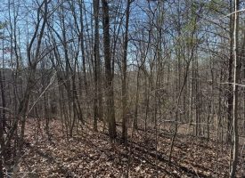 Beautiful 5.00+/-acre wooded tract atop South Pittsburg Mountain.