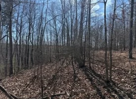 5.00+/-acres on South Pittsburg Mtn with scenic views and outdoor paradise