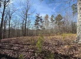 5.00+/-acres on South Pittsburg Mtn with scenic views and outdoor paradise