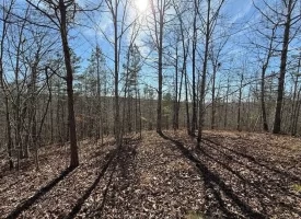 5.00+/-acres on South Pittsburg Mtn with scenic views and outdoor paradise