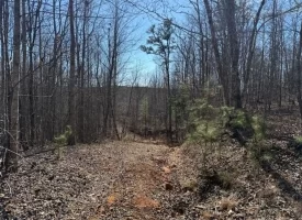 5.00+/-acres on South Pittsburg Mtn with scenic views and outdoor paradise