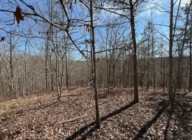 5.00+/-acres on South Pittsburg Mtn with scenic views and outdoor paradise