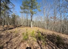 5.00+/-acres on South Pittsburg Mtn with scenic views and outdoor paradise