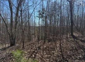 5.00+/-acres on South Pittsburg Mtn with scenic views and outdoor paradise