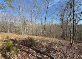 5.00+/-acres on South Pittsburg Mtn with scenic views and outdoor paradise