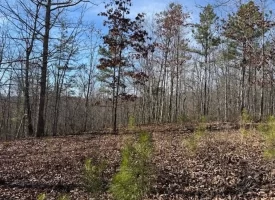 5.00+/-acres on South Pittsburg Mtn with scenic views and outdoor paradise