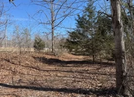 5.00+/-acres on South Pittsburg Mtn with scenic views and outdoor paradise