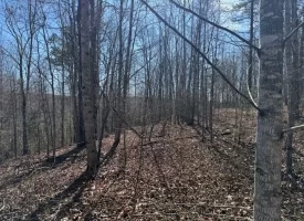 5.00+/-acres on South Pittsburg Mtn with scenic views and outdoor paradise