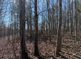 5.00+/-acres on South Pittsburg Mtn with scenic views and outdoor paradise