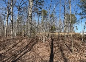 5.00+/-acres on South Pittsburg Mtn with scenic views and outdoor paradise