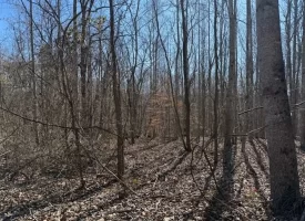 5.00+/-acres on South Pittsburg Mtn with scenic views and outdoor paradise