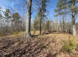 5.00+/-acres on South Pittsburg Mtn with scenic views and outdoor paradise