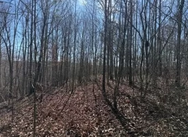 5.00+/-acres on South Pittsburg Mtn with scenic views and outdoor paradise