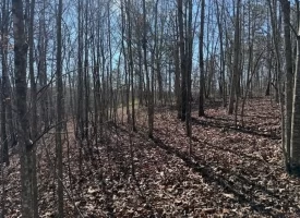 5.00+/-acres on South Pittsburg Mtn with scenic views and outdoor paradise