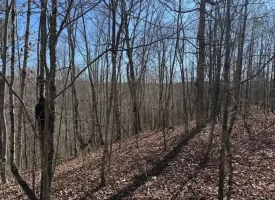 5.00+/-acres on South Pittsburg Mtn with scenic views and outdoor paradise