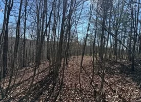 5.00+/-acres on South Pittsburg Mtn with scenic views and outdoor paradise