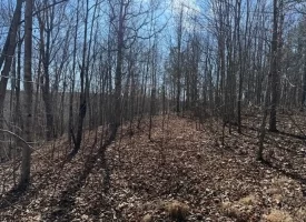 5.00+/-acres on South Pittsburg Mtn with scenic views and outdoor paradise