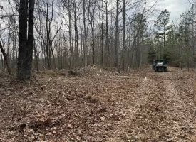 5.00+/-acres Beautiful Bluff Views