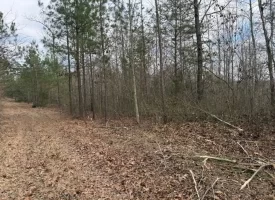 5.00+/-acres Beautiful Bluff Views