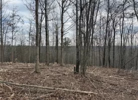 5.00+/-acres Beautiful Bluff Views