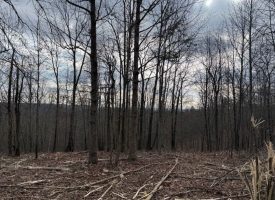 5.00+/-acres Beautiful Bluff Views