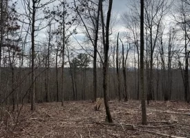 5.00+/-acres Beautiful Bluff Views