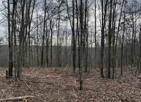 5.00+/-acres Beautiful Bluff Views