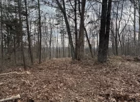 5.00+/-acres Beautiful Bluff Views