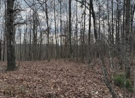 5.00+/-acres Beautiful Bluff Views