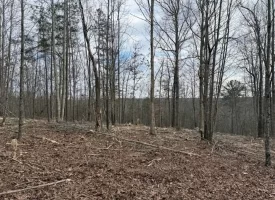 5.00+/-acres Beautiful Bluff Views