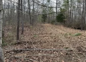 5.00+/-acres Beautiful Bluff Views