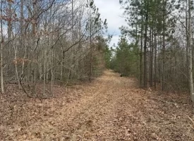 5.00+/-acres Beautiful Bluff Views