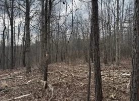 5.00+/-acres Beautiful Bluff Views