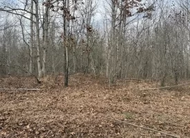 5.00+/-acres Beautiful Bluff Views