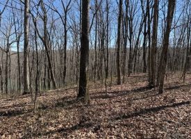 7.1+/-acres Lake front property