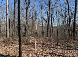 7.1+/-acres Lake front property