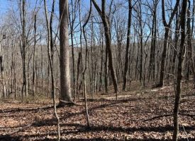 7.1+/-acres Lake front property