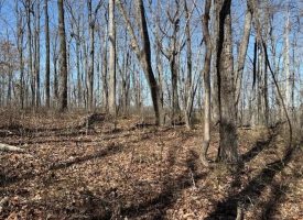 7.1+/-acres Lake front property