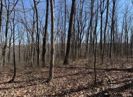 7.1+/-acres Lake front property