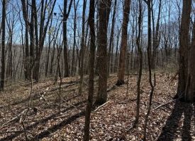 7.1+/-acres Lake front property