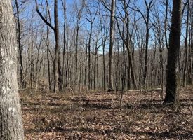7.1+/-acres Lake front property