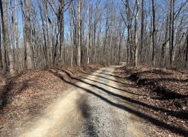 7.1+/-acres Lake front property