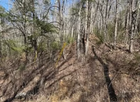 2.00+/-acres Wooded Creek frontage