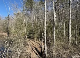 2.00+/-acres Wooded Creek frontage