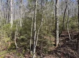 2.00+/-acres Wooded Creek frontage