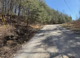 2.00+/-acres Wooded Creek frontage