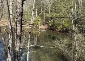 2.00+/-acres Wooded Creek frontage