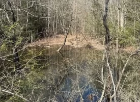 2.00+/-acres Wooded Creek frontage